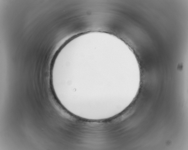 X0000091930836200709051239