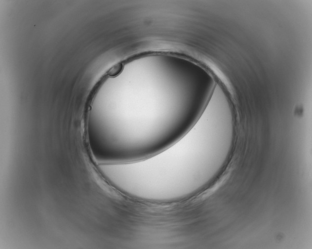 X0000091930837200709051239