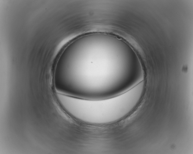 X0000091930838200709051239