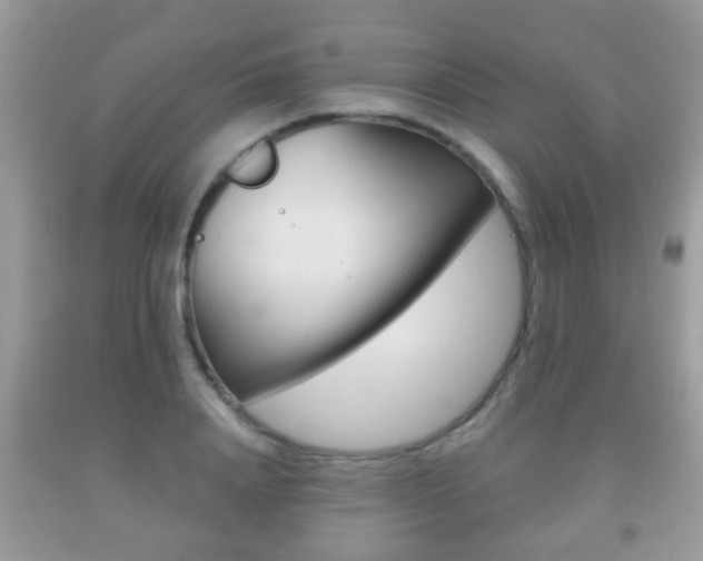X0000091930840200709051239