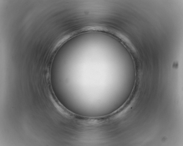 X0000091930841200709051239