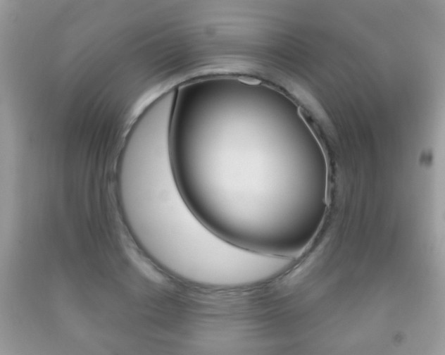 X0000091930842200709051239