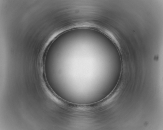 X0000091930843200709051239