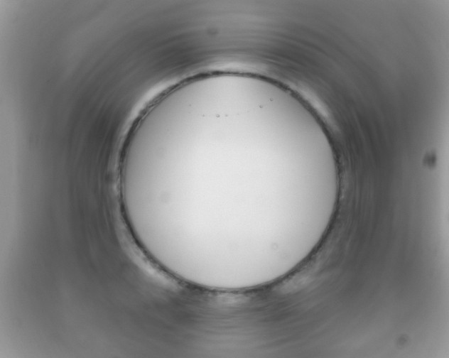 X0000091930848200709051239