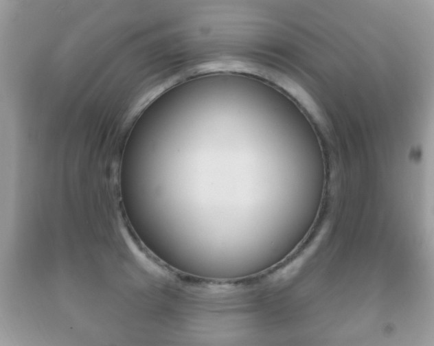 X0000091930849200709051239