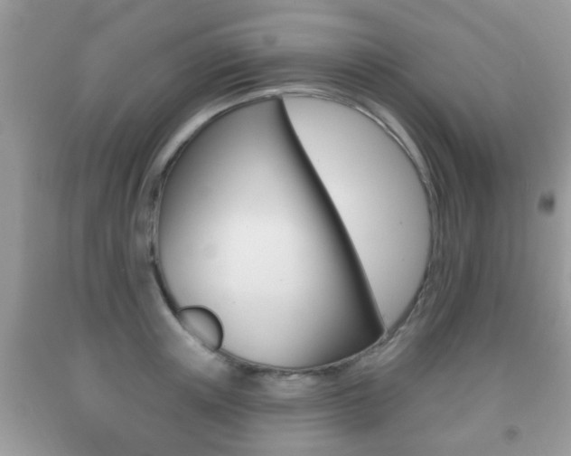 X0000091930851200709051239