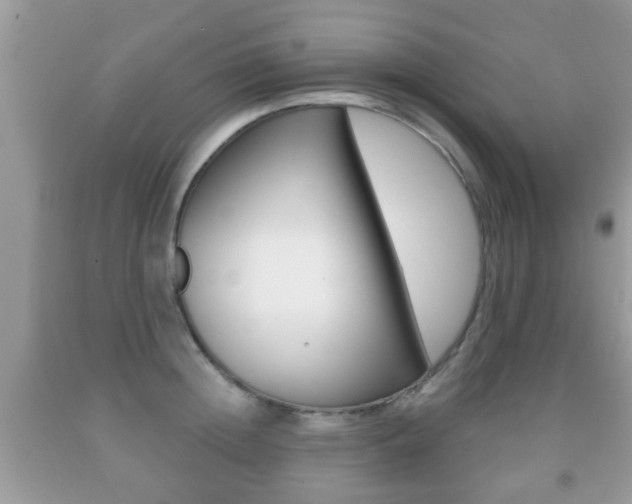 X0000091930852200709051239