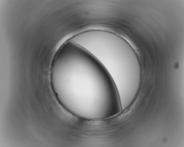 X0000091930853200709051239