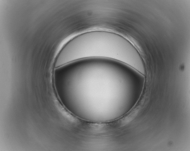 X0000091930854200709051239