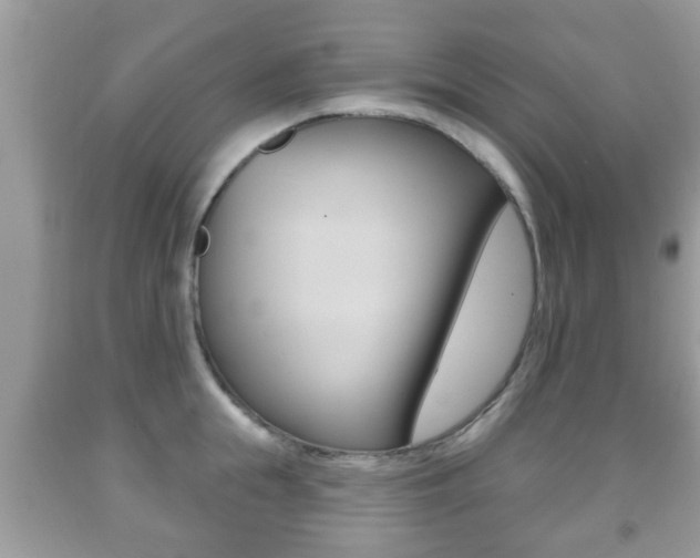 X0000091930855200709051239