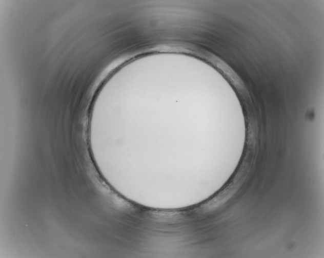 X0000091930856200709051239