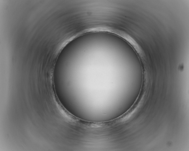 X0000091930857200709051239