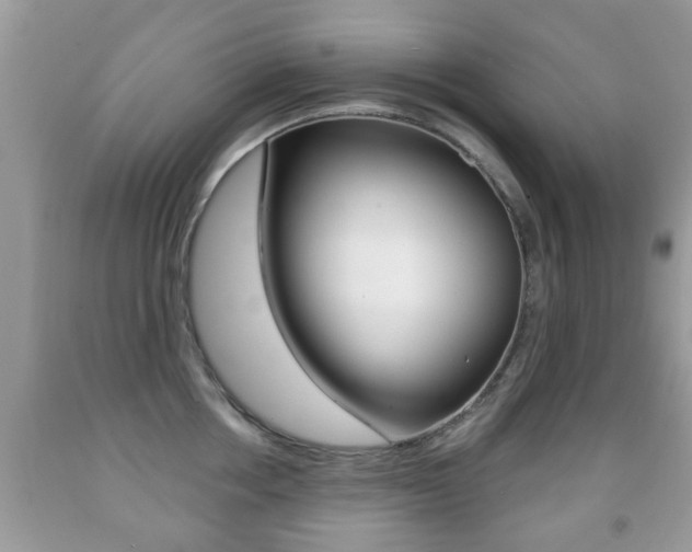 X0000091930858200709051239