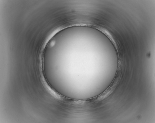 X0000091930859200709051240