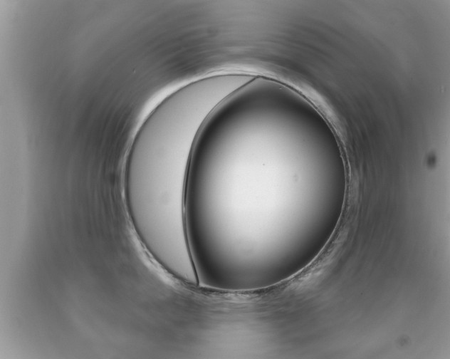 X0000091930862200709051240