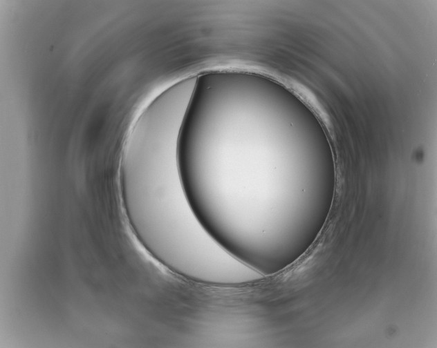 X0000091930863200709051240