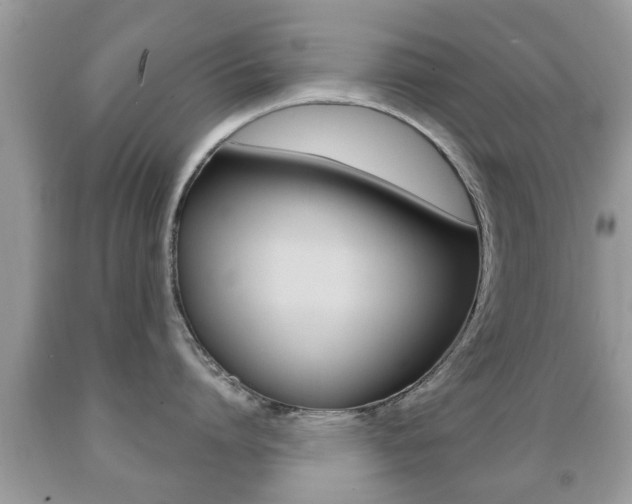 X0000091930864200709051240