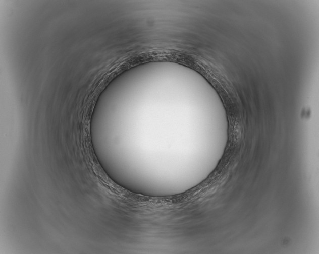 X0000091930865200709051239