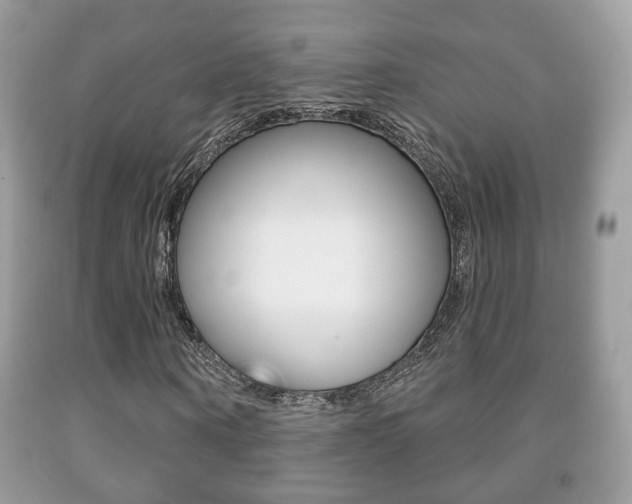 X0000091930866200709051239