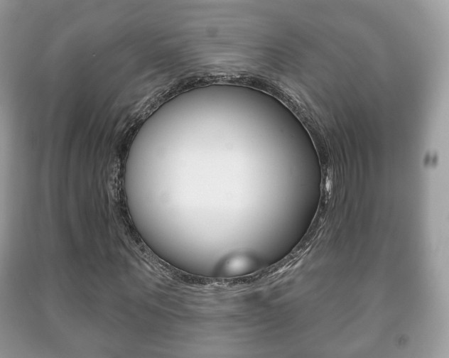X0000091930867200709051239
