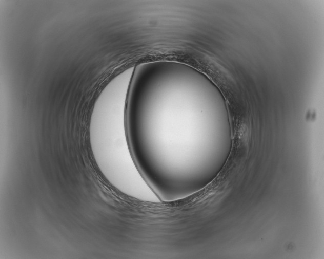 X0000091930868200709051239