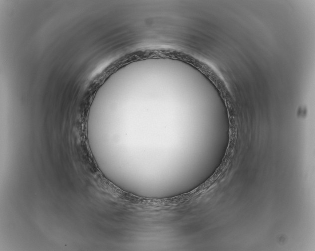 X0000091930871200709051239