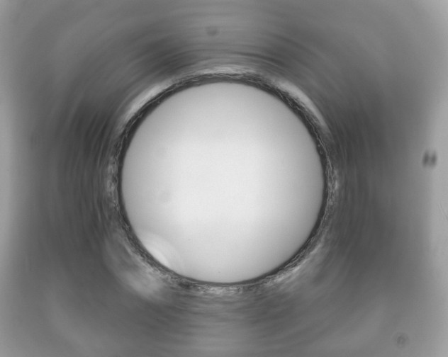 X0000091930874200709051239