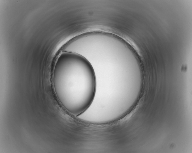 X0000091930877200709051239
