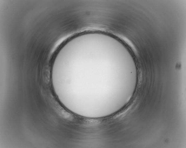 X0000091930878200709051238