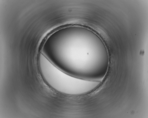 X0000091930880200709051238