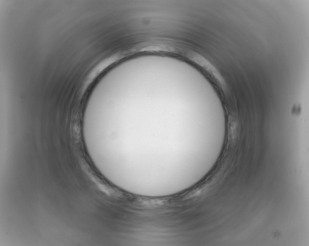 X0000091930882200709051238