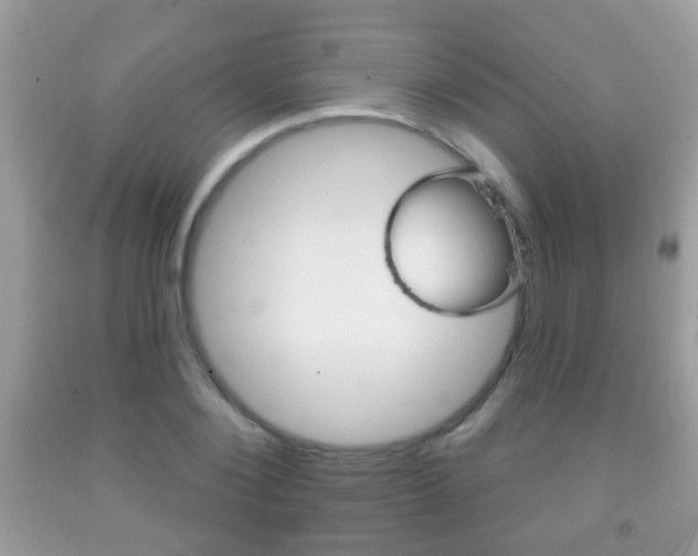 X0000091930884200709051238