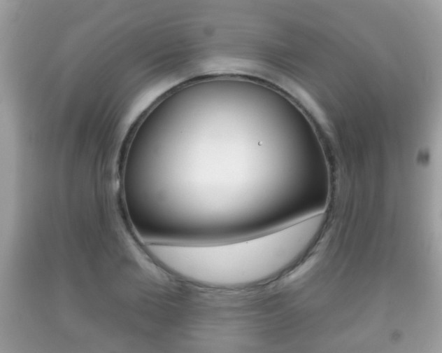 X0000091930885200709051238