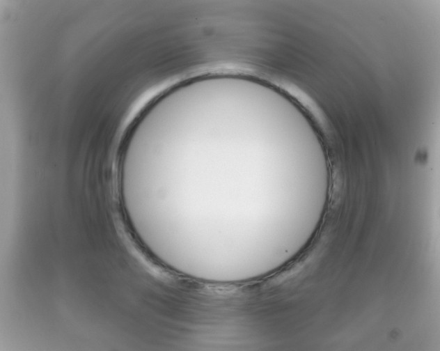 X0000091930886200709051238