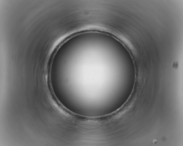 X0000091930888200709051238