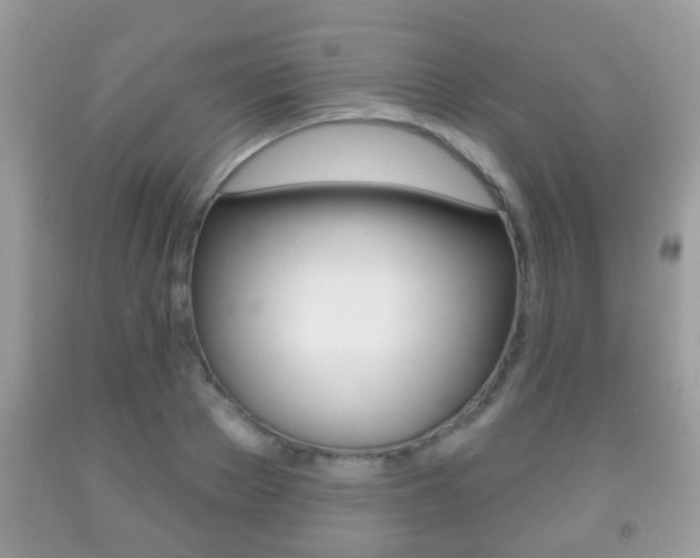 X0000091930889200709051238