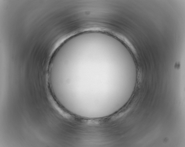 X0000091930890200709051238
