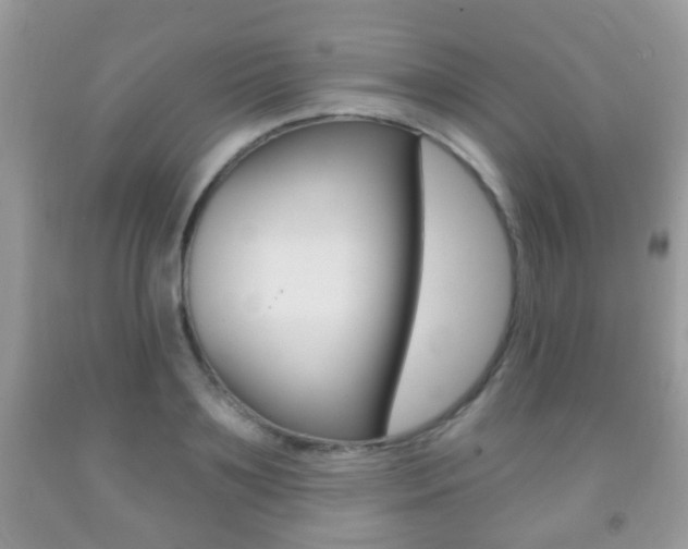 X0000091930891200709051238