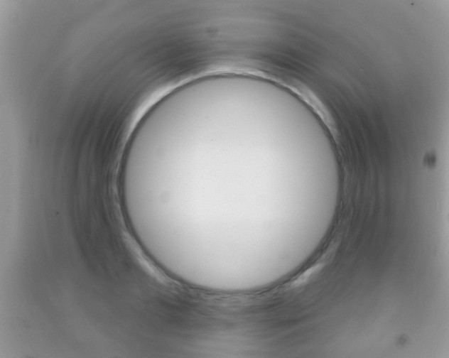 X0000091930893200709051238