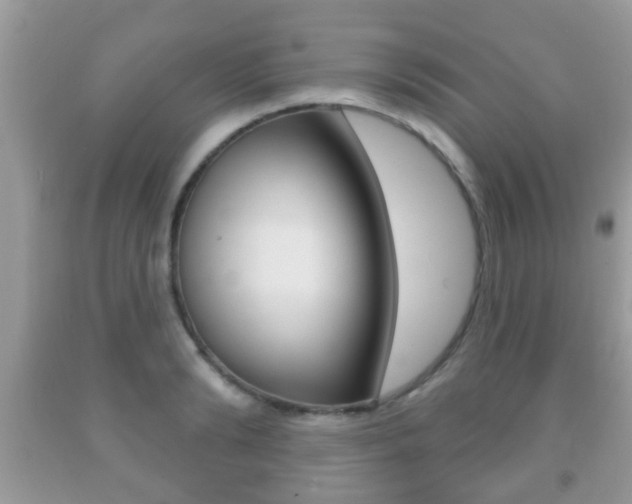 X0000091930894200709051238