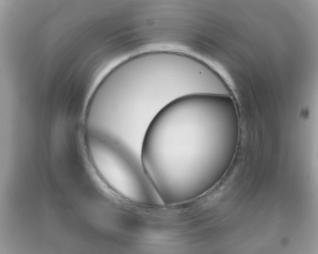 X0000091930895200709051238