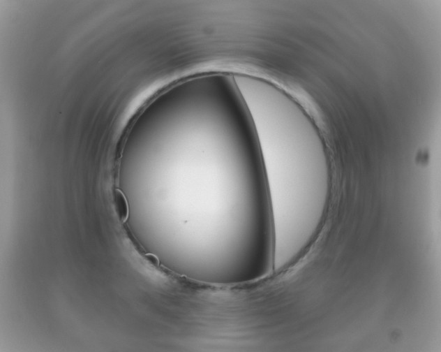 X0000091930896200709051238