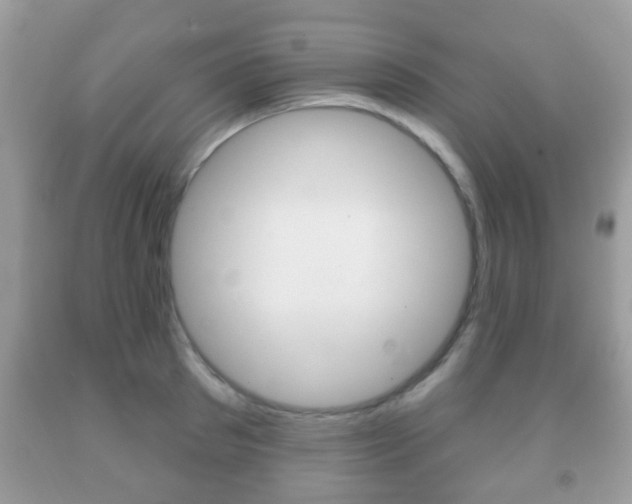X0000091930897200709051238