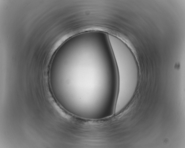 X0000091930898200709051238