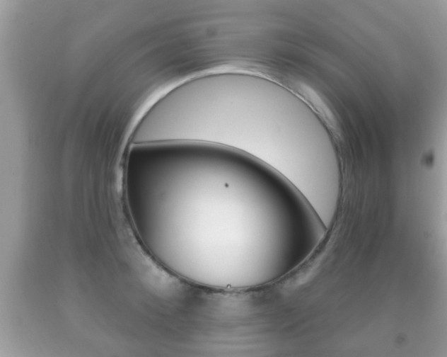 X0000091930900200709051238