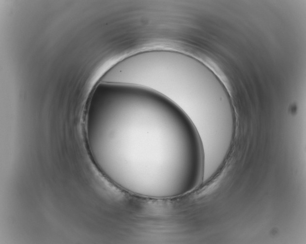 X0000091930901200709051238