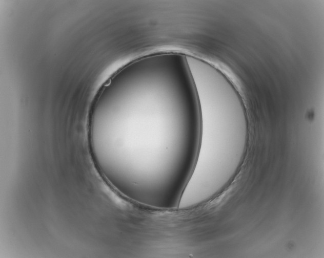 X0000091930902200709051238