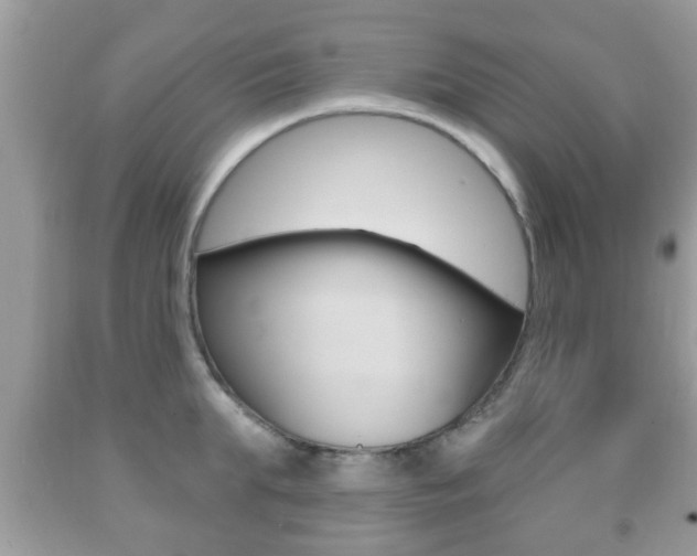 X0000091930903200709051238