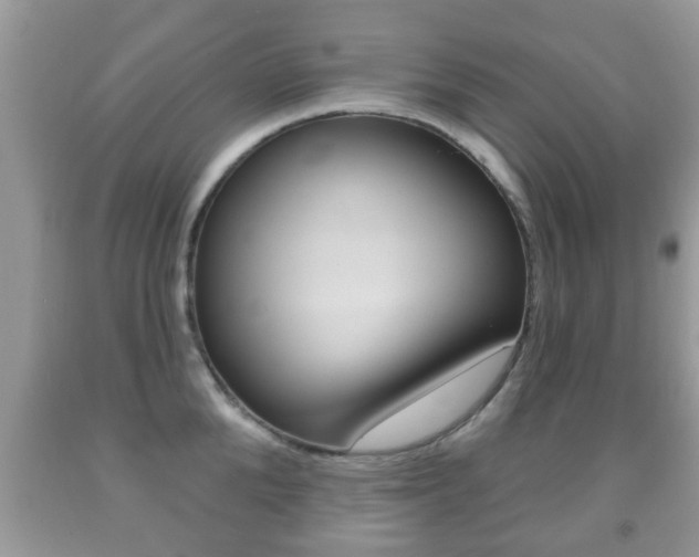 X0000091930904200709051238