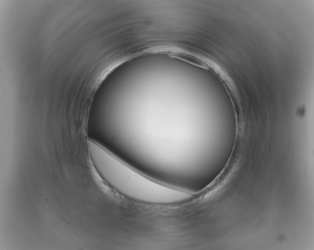 X0000091930905200709051238